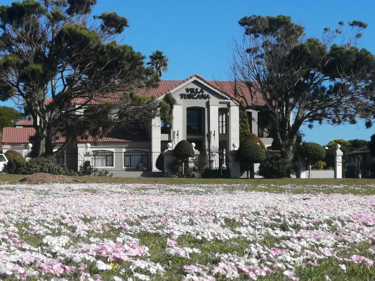 Villa Tuscana Порт-Элизабет Экстерьер фото